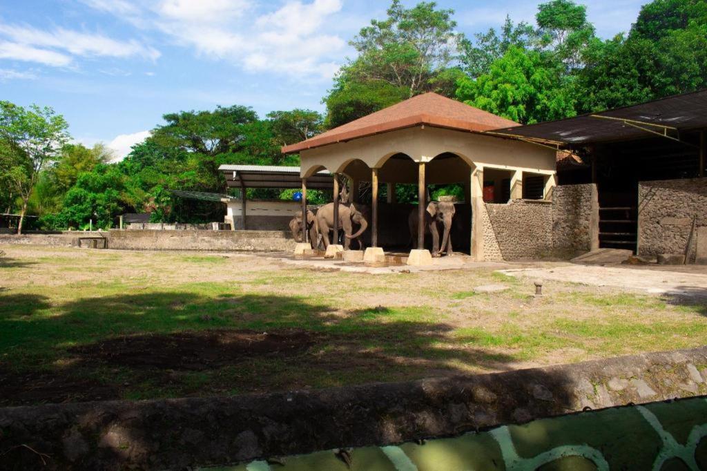 เซเรีย บูทิก โฮเต็ล Hotel Maguwo ภายนอก รูปภาพ